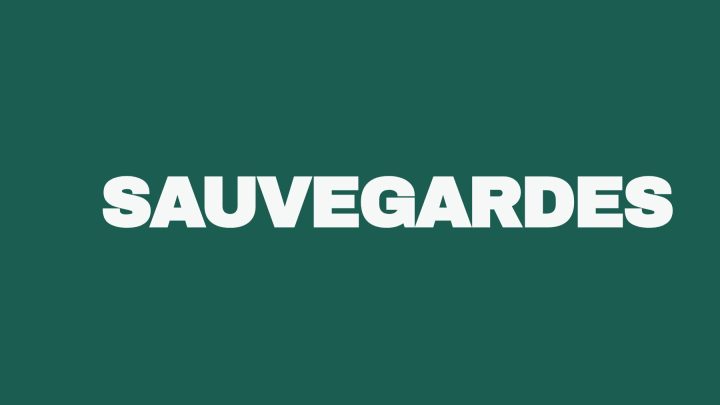 Comment sécuriser son site web avec des sauvegardes adéquates? 5 guide sauvegardes