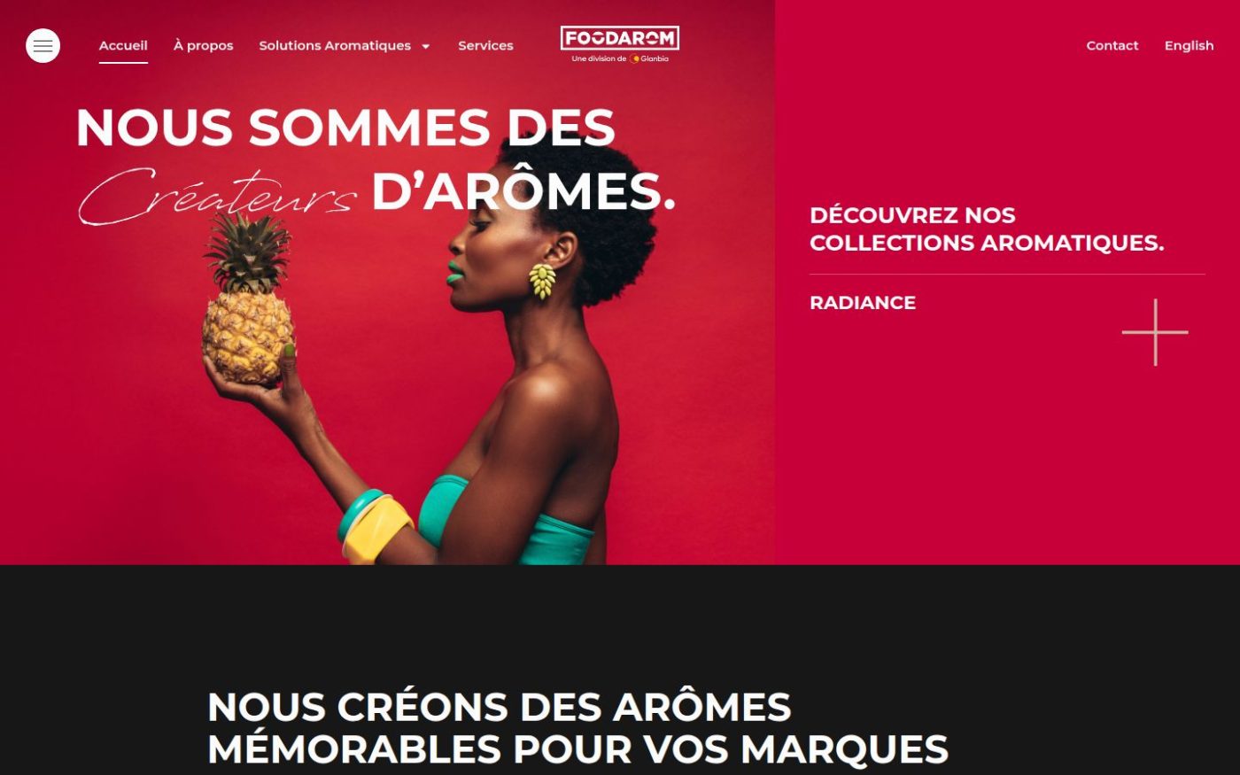 Le menu principal de foodarom.com : produits, services, nouvelles, carrières et Flavor Trends réunis